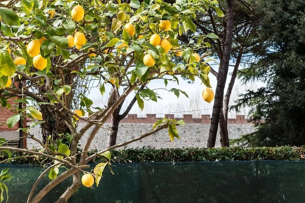 Appartamento Lemon House Green Pisa
